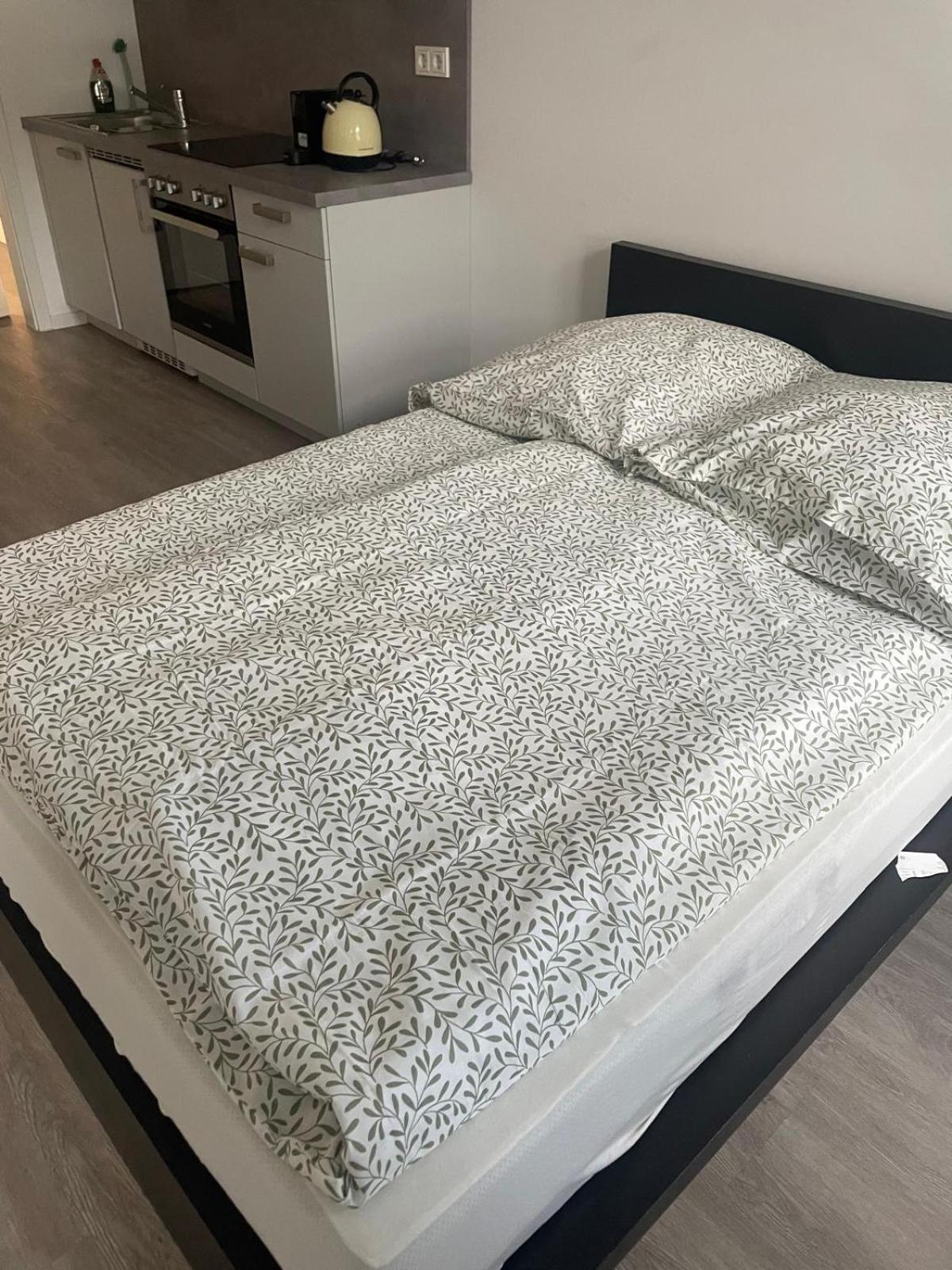 Studio Appartement W6 トリーア エクステリア 写真